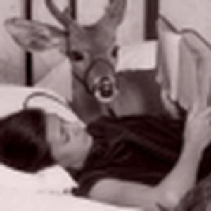 Meet your Posher, Becky